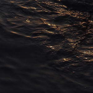 阴部肥胖的图片
