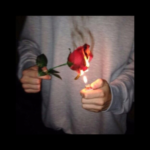 阴部肥胖的图片
