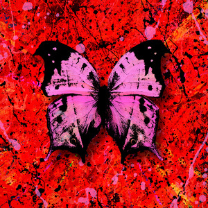 阴部肥胖的图片
